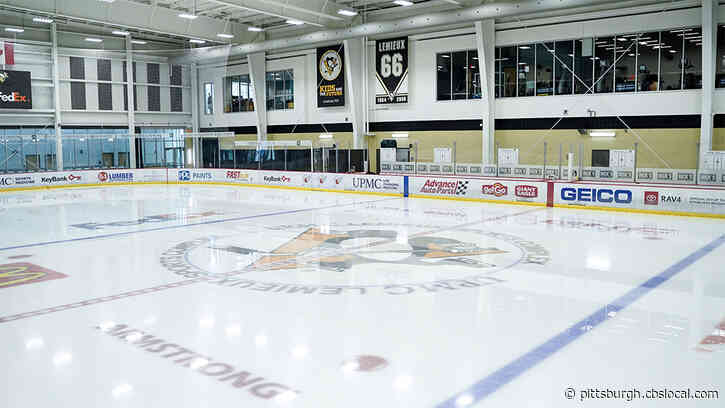 2020 Penguins Free Agency Tracker: Penguins Start Offseason With $3.9 Million In Cap Space