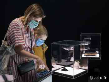 Arras, Calais, Lens... Que faire ce week-end, dans le Pas-de-Calais ? - actu.fr