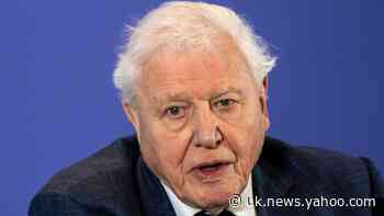 Sir David Attenborough appointed a Knight Grand Cross by the Queen