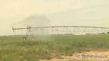Alberta announces ‘historic’ $815M irrigation investment to benefit 8 southern districts