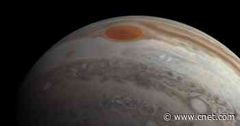 NASA drops joyful Jupiter flyover video from Juno's perspective     - CNET