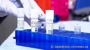 Ile-a-la-Crosse mayor 'optimistic' COVID-19 outbreak can be contained - CTV News Saskatoon
