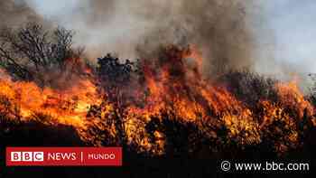 "10 veces el tamaño de la ciudad de Buenos Aires": los masivos incendios en la provincia de Córdoba que han causado un "ecocidio" en Argentina - BBC News Mundo