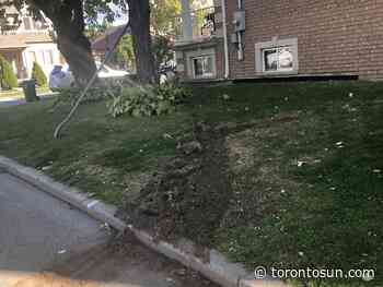 Man, 33, gunned down behind the wheel in North York - Toronto Sun