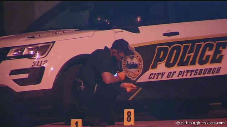 Shots Fired Along California Avenue In Brighton Heights, Police Investigating