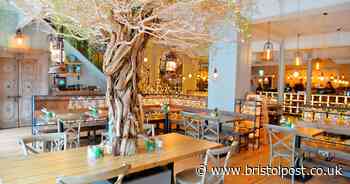 Latest on Bristol's delayed Mowgli restaurant and when it will open