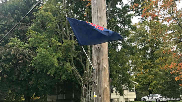 FirstEnergy Reminds The Public Not To Hang Political Signs Or Flags On Utility Poles