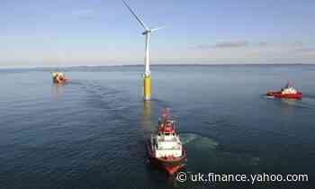Investors and graduates flock to UK's burgeoning windfarms