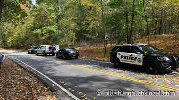 Human Remains Found In Boyce Park