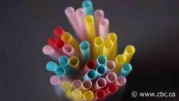 Sask. brewer, food business owner say they welcome federal ban on single-use plastics