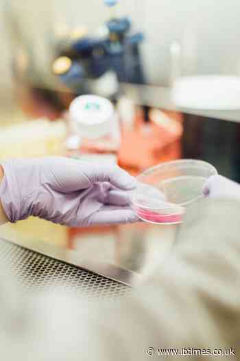 Nitric Oxide - A Promising Antiviral Treatment, Study Shows