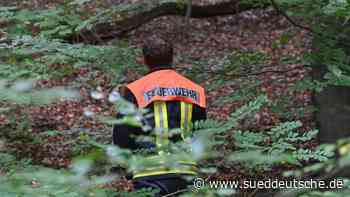 Tote und sterbende Wildschweine auf Oderinsel entdeckt - Süddeutsche Zeitung