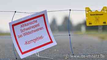 Bauern: Weiter "kritische Phase" bei Schweinepest - DA-imNetz.de