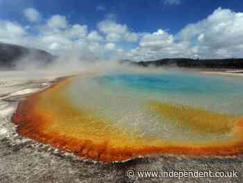 Child, 3, seriously burned after falling into Yellowstone geyser basin