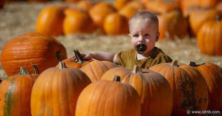 Halloween in a pandemic: What Utah parents say about their plans for that spooky holiday