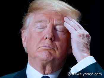 'We reject their support': Trump campaign strongly declines Taliban endorsement for his 2020 reelection