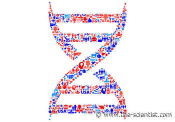 Candidates from STEM and Medical Fields in the National Elections - The Scientist