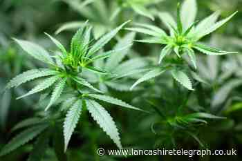 Ex soldier who smoked cannabis to aid sleep was caught drug-driving