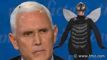 Halloween 'Fly Costume' Sells Out Immediately After VP Debate