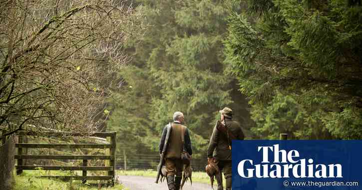 RSPB calls for new laws on game bird shooting