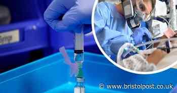 Vaccine given to children could help fight coronavirus