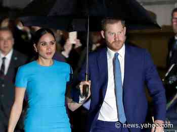 A Republican congressman is accusing Prince Harry and Meghan Markle of interfering in the US presidential election