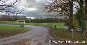 Players walk off pitch after 'homophobic insult'