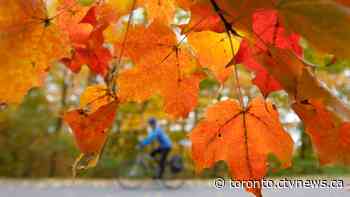 What’s open and closed in Toronto this Thanksgiving weekend?