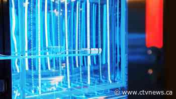 Scientists studying whether light can be harnessed to kill the coronavirus