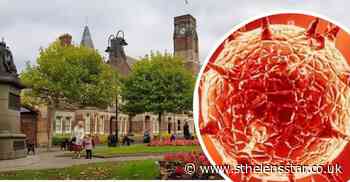 St Helens Council chief's update on coronavirus recovery plans - St Helens Star
