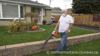 Canadians being urged to 'leave the leaves' alone