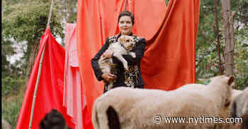 Socially Distant, Except for the Dogs, Sheep and Chickens