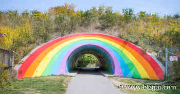 The East Don Trail is Toronto's nature escape for wildlife and a rainbow tunnel - blogTO