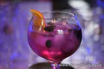 Inside Tin of Sardines - Durham's smallest bar now limited to just 13 people