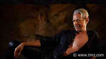 Jeff Goldblum Recreates Sexy 'Jurassic Park' Pose for Vote Campaign