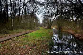 'Popular' York dogging locations named on website - including nature reserve