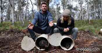 After 3,000 Years Away, Tasmanian Devils Return to Australia With Help From Chris Hemsworth - PEOPLE.com