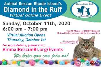 Animal Rescue Rhode Island - Diamond in the Ruff 2020 - Patch.com