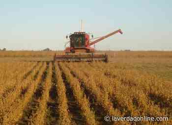 Rodríguez: “El desarrollo de Buenos Aires involucra el desarrollo del sector agropecuario” - Diario La Verdad Junín