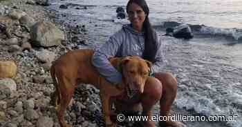 Viajó hasta Buenos Aires para adoptar a un pitbull brutalmente atacado que no encontraba hogar - El Cordillerano