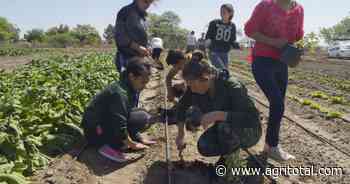 Ponen en marcha Programa Escuelas y Desarrollo Agrario en Buenos Aires - AgriTotal