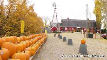 With others cancelled, fall celebrations carry on at the Berry Barn