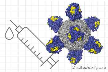 Progress on Universal Flu Vaccine That Could Work Against Any Influenza Strain