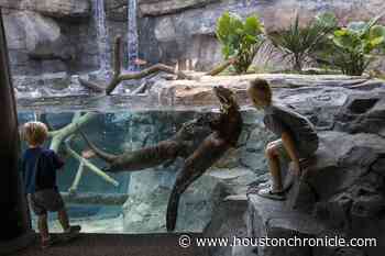 Houston Zoo unveils its first-in-the-nation Pantanal exhibit - Houston Chronicle