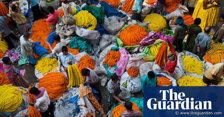 'There is no planet B': the best books to help us navigate the next 50 years