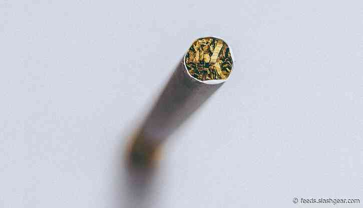 Menthol cigarettes ban urged over long-term consequences of minty flavor