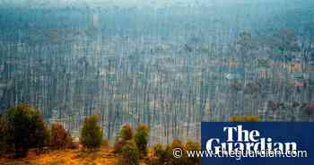 Fifth of nations at risk of ecosystem collapse, analysis finds