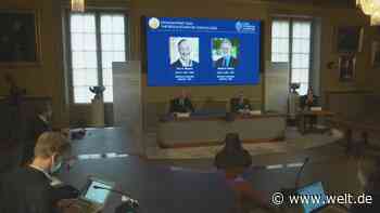 Wirtschaftsnobelpreis für US-Ökonomen Milgrom und Wilson