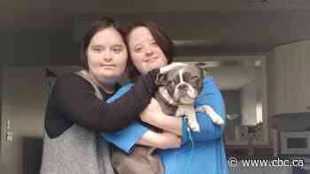 Meet two best friends with Down Syndrome who are navigating their pet-care business through the pandemic