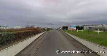 Caravan park ordered to close bar after 'serious breach' of Covid-19 rules